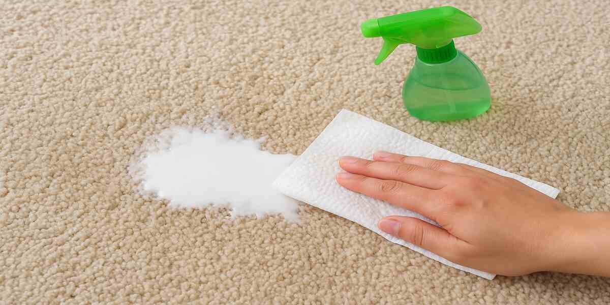 How Can Carpet Stains and the Milk Smell Be Removed?